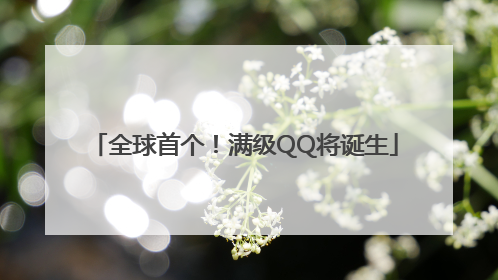 全球首个！满级QQ将诞生
