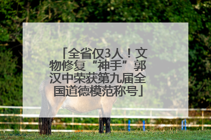 全省仅3人！文物修复“神手”郭汉中荣获第九届全国道德模范称号
