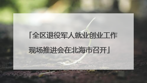 全区退役军人就业创业工作现场推进会在北海市召开