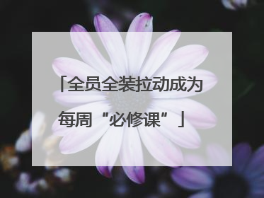 全员全装拉动成为每周“必修课”