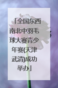 全国东西南北中羽毛球大赛青少年赛(天津武清)成功举办
