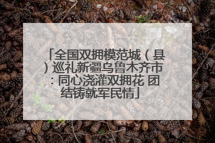 全国双拥模范城（县）巡礼新疆乌鲁木齐市：同心浇灌双拥花 团结铸就军民情
