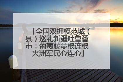 全国双拥模范城（县）巡礼新疆吐鲁番市：葡萄藤蔓根连根 火洲军民心连心