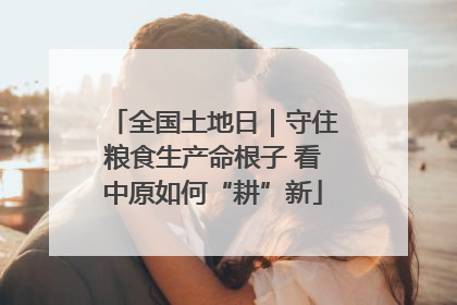 全国土地日｜守住粮食生产命根子 看中原如何“耕”新