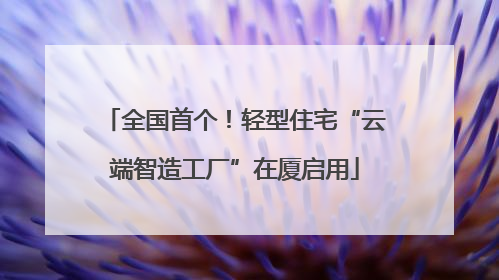 全国首个！轻型住宅“云端智造工厂”在厦启用