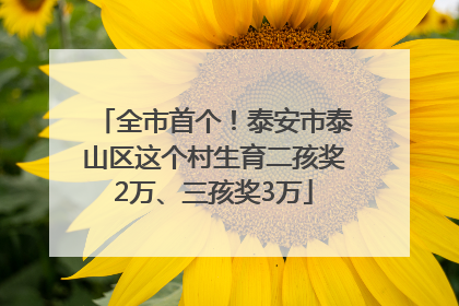 全市首个！泰安市泰山区这个村生育二孩奖2万、三孩奖3万