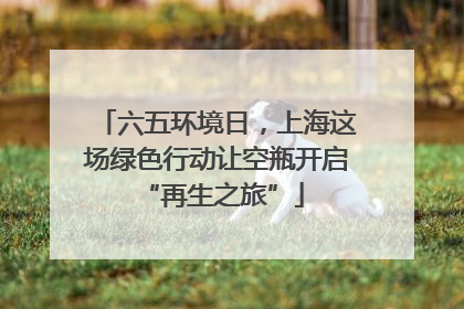 六五环境日，上海这场绿色行动让空瓶开启 “再生之旅”