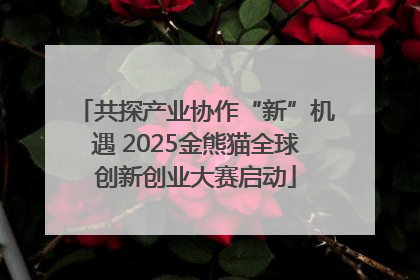 共探产业协作“新”机遇 2025金熊猫全球创新创业大赛启动