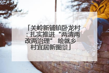 关岭新铺镇卧龙村：扎实推进“两清两改两治理” 绘就乡村宜居新图景