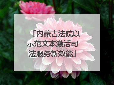 内蒙古法院以示范文本激活司法服务新效能
