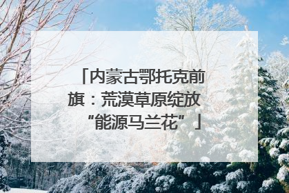 内蒙古鄂托克前旗：荒漠草原绽放“能源马兰花”