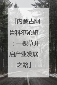 内蒙古阿鲁科尔沁旗：一棵草开启产业发展之路