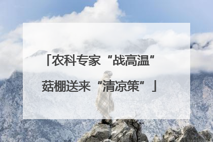 农科专家“战高温” 菇棚送来“清凉策”
