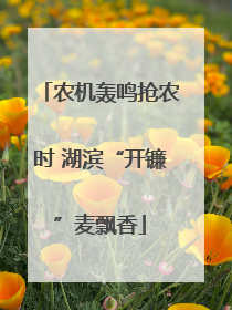 农机轰鸣抢农时 湖滨“开镰”麦飘香