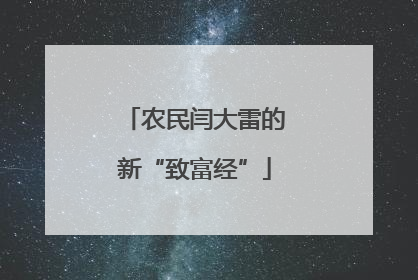 农民闫大雷的新“致富经”