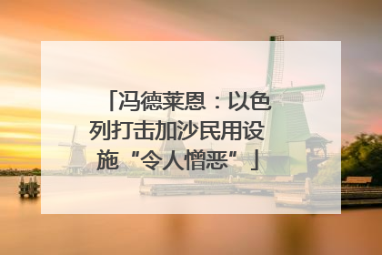 冯德莱恩：以色列打击加沙民用设施“令人憎恶”