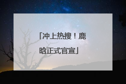 冲上热搜！鹿晗正式官宣