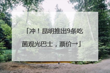 冲！昆明推出9条吃菌观光巴士，票价→