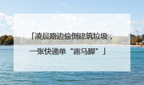 凌晨路边偷倒建筑垃圾，一张快递单“露马脚”