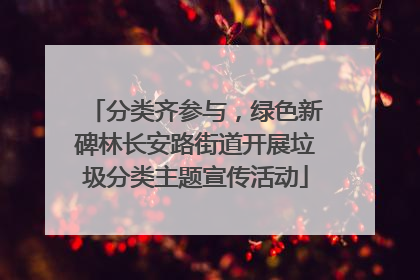 分类齐参与，绿色新碑林长安路街道开展垃圾分类主题宣传活动