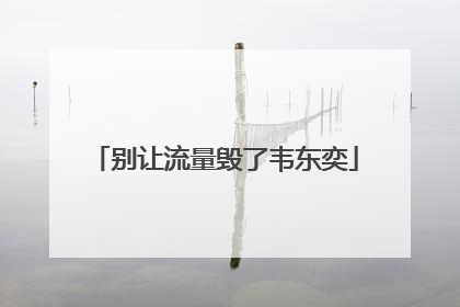 别让流量毁了韦东奕