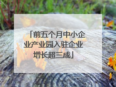 前五个月中小企业产业园入驻企业增长超三成