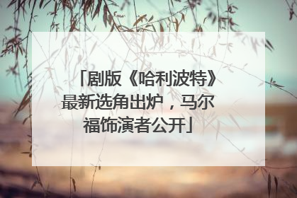 剧版《哈利波特》最新选角出炉，马尔福饰演者公开