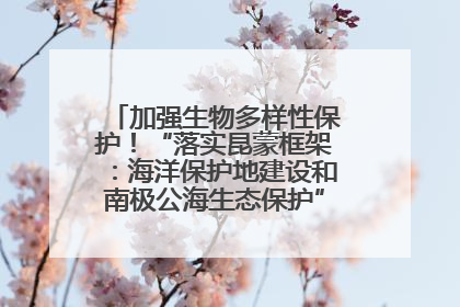 加强生物多样性保护！“落实昆蒙框架：海洋保护地建设和南极公海生态保护”主题论坛将举办