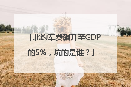 北约军费飙升至GDP的5%，坑的是谁？