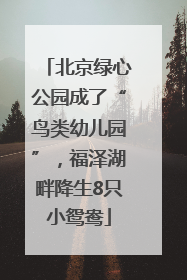 北京绿心公园成了“鸟类幼儿园”，福泽湖畔降生8只小鸳鸯