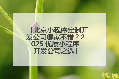 北京小程序定制开发公司哪家不错？2025 优质小程序开发公司之选