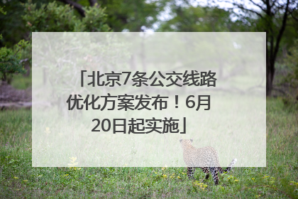 北京7条公交线路优化方案发布！6月20日起实施