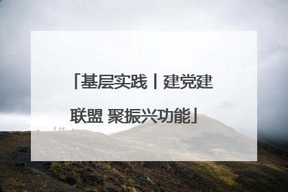 基层实践丨建党建联盟 聚振兴功能