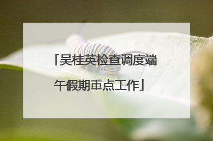 吴桂英检查调度端午假期重点工作