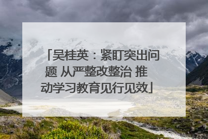 吴桂英：紧盯突出问题 从严整改整治 推动学习教育见行见效