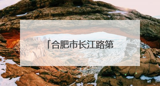 合肥市长江路第三小学兰亭分校：榜样闪耀绽光彩 五育融合助成长