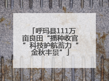 呼玛县111万亩良田“播种收官”科技护航蓄力“金秋丰景”