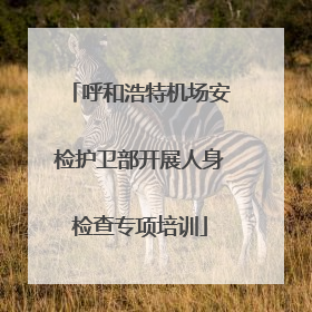 呼和浩特机场安检护卫部开展人身检查专项培训