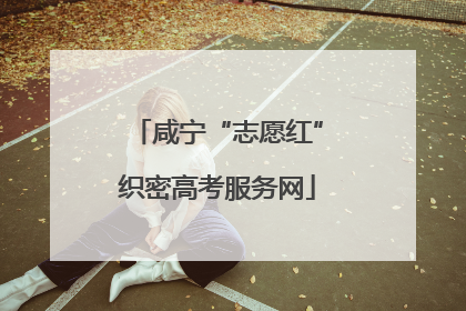 咸宁“志愿红”织密高考服务网