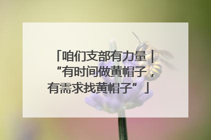 咱们支部有力量｜“有时间做黄帽子，有需求找黄帽子”