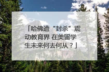 哈佛遭“封杀”震动教育界 在美留学生未来何去何从？
