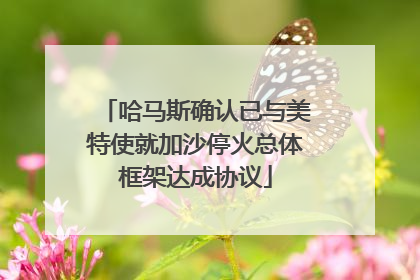 哈马斯确认已与美特使就加沙停火总体框架达成协议