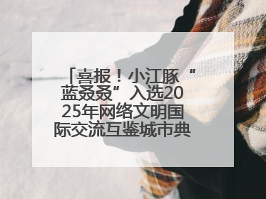 喜报！小江豚“蓝叒叒”入选2025年网络文明国际交流互鉴城市典型案例