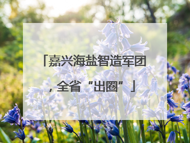 嘉兴海盐智造军团，全省“出圈”
