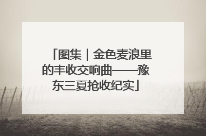 图集｜金色麦浪里的丰收交响曲——豫东三夏抢收纪实
