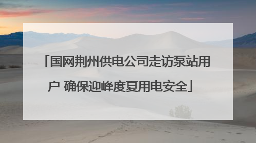 国网荆州供电公司走访泵站用户 确保迎峰度夏用电安全