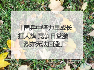 国乒中坚力量成长扛大旗 竞争日益激烈亦无法回避