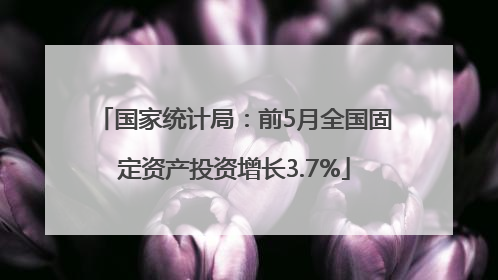 国家统计局：前5月全国固定资产投资增长3.7%