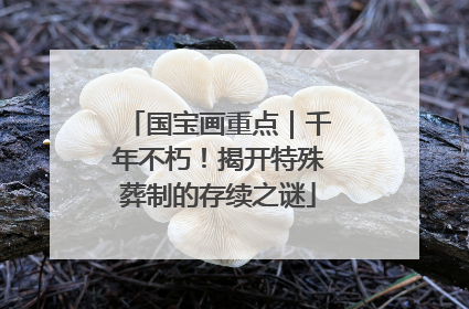国宝画重点｜千年不朽！揭开特殊葬制的存续之谜