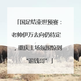 国足结束世预赛：老帅伊万去向仍待定，重庆主场氛围惊到“退钱哥”